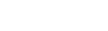 Logo Reintjes Systems